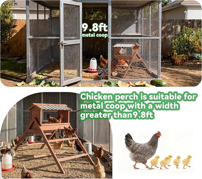 Chicken Perch for Coop, 3 in 1 Design-Nesting Box with All Weather PVC Roof+Perches+Swing, Indoor & Outdoor Roosting Bar