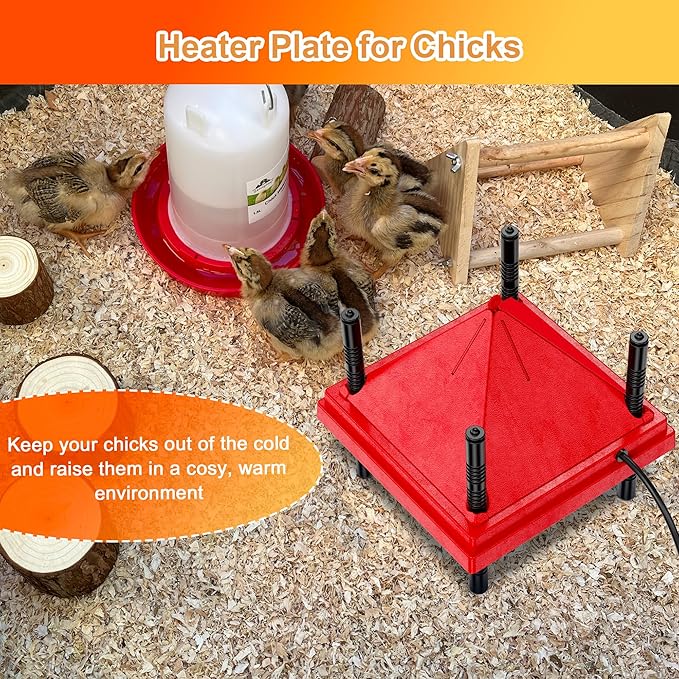 Brooder Plate for Chicks with Anti-Roost Cone, Chick Brooder Heater Red 12" x 12" with Constant Temperature