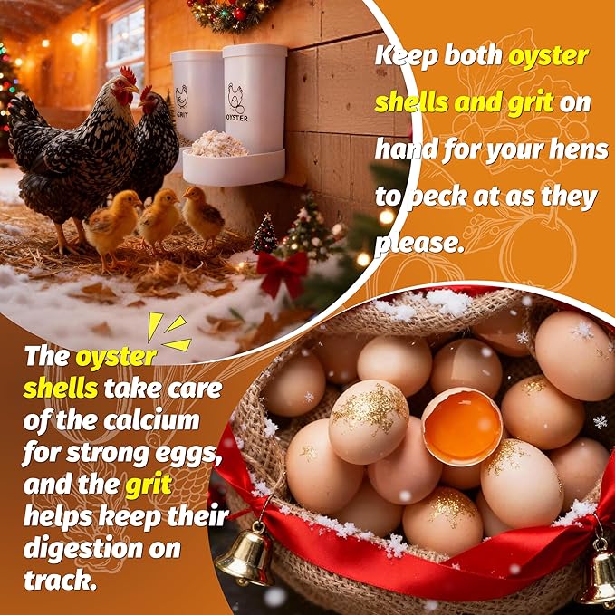 Chicken Grit and Oyster Shell Feeder, 2 Pack No Waste Hanging Chicken Feeder Combo, Waterproof ABS Automatic Gravity Poultry Feeder with Lid Rounded Edges, Coop Accessories for Healthier Hens and Eggs