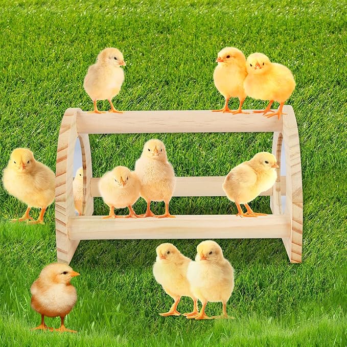 Pine Chicken Perch with Mirror, Strong Chick Jungle Gym Roosting Bar, Chicken Toys for Coop and Brooder, Training Perch Toys for Large Bird, Parrot, Macaw, Hens (Small)