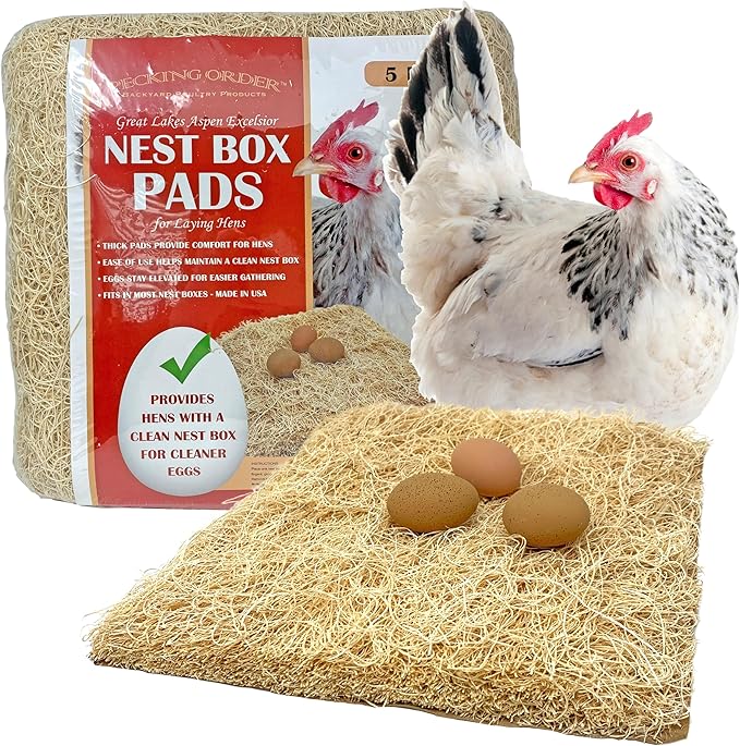 Nest Box Pads for Chicken Nesting Boxes - 13 x 13 Pads Made in USA from Sustainably Sourced Aspen Excelsior,5 Count (Pack of 6)