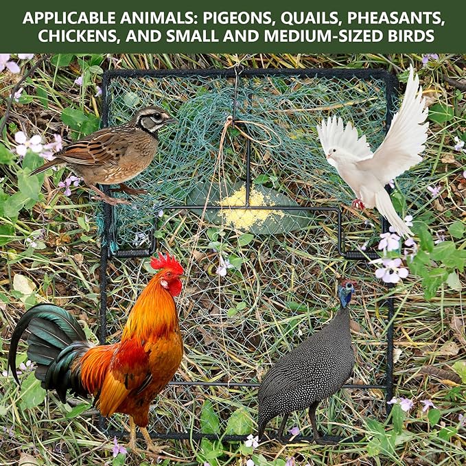 Humane Pigeon Trap,Bird Trap for Quail,Turkey,Net Traps (15.7x19.7 inch)