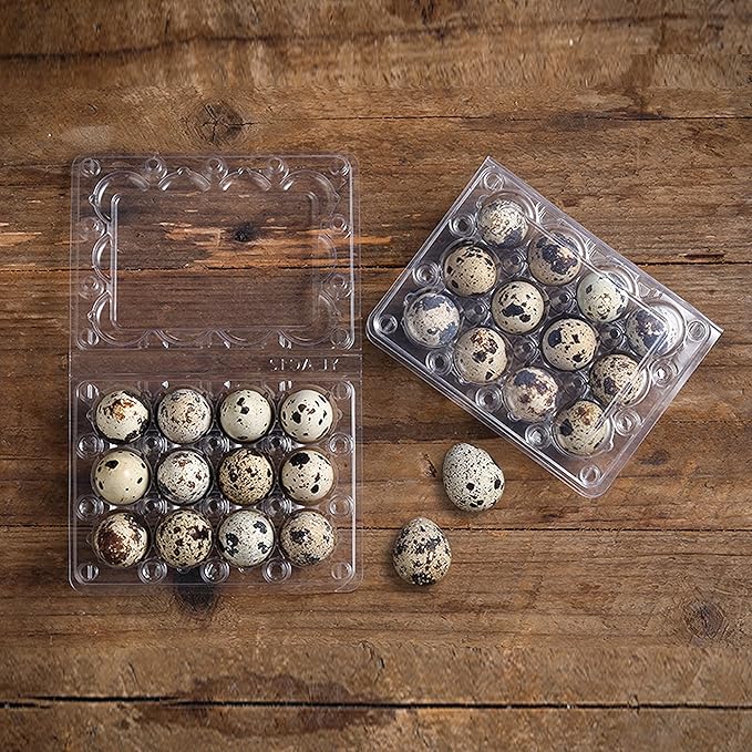 120 Pcs Quail Egg Cartons, Square Dozen Egg Basket, 3x4 Style Holds Up to Twelve 12 Count Small Eggs Box, Bulk Carton Pigeon Eggs Tray Container for Refrigerator