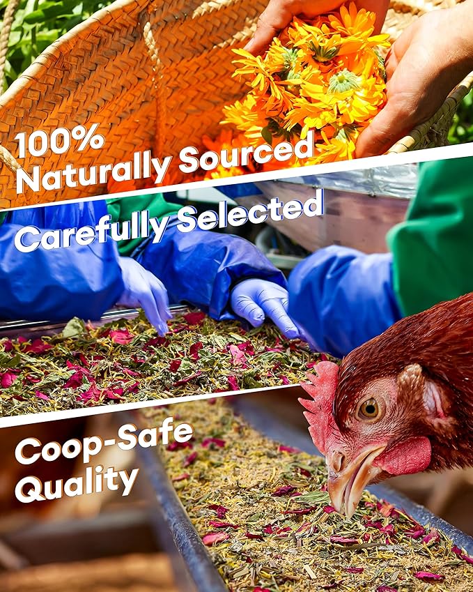 BUCATSTATE Chicken Nesting Herbs 21.1oz, Nesting Herbs for Chicken Coop with 10 Dried Floral Poultry Herbs, Nest Box Aromatic Refresher to Increase Egg Production