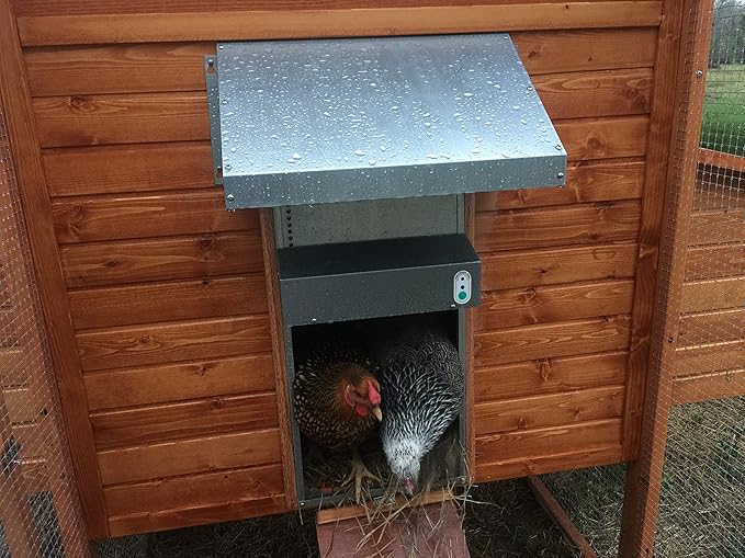 Automatic Chicken Coop Door, ADOR1 Made in Texas