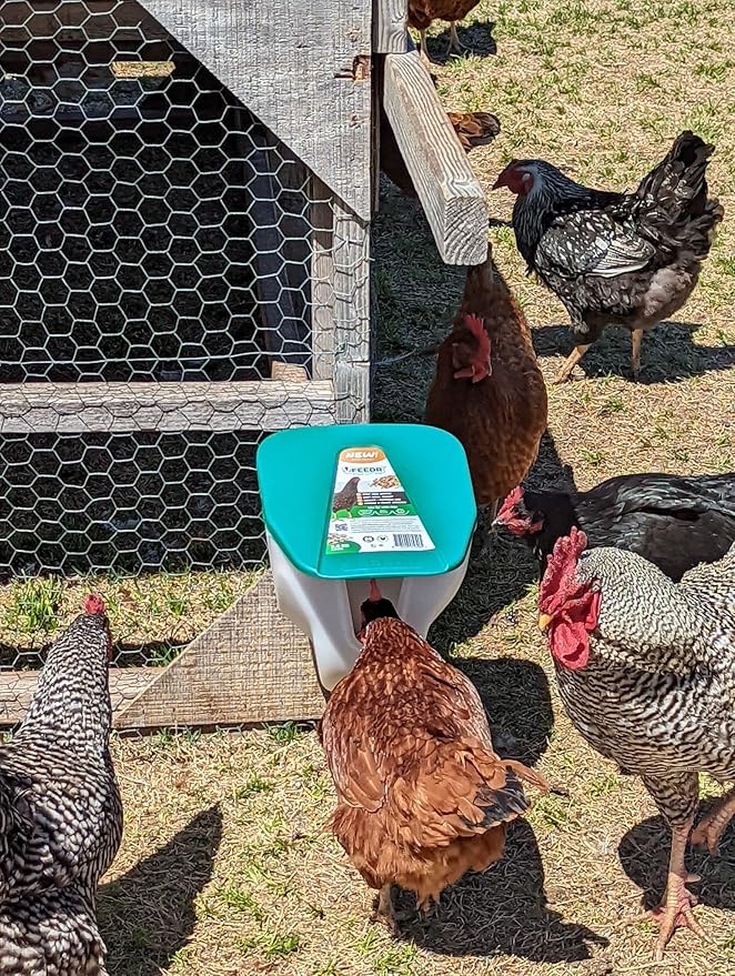 My Favorite Chicken VFeedr No Waste Hanging Poultry Feeder 5-lbs