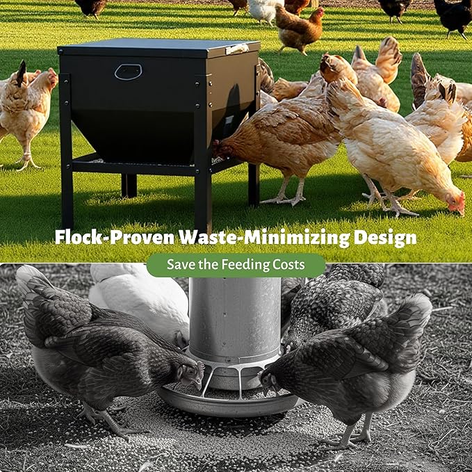 KOL 80LBs Chicken Feeder No-Waste, Galvanized Steel Large Capacity Chicken Feeder, Portable Poultry Feeder with Waterproof Lid for Hens and Roosters, Coops & Outdoors