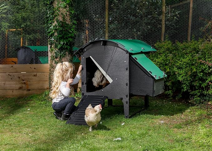 Plastic Chicken Coop 25yr Lifespan - Small Lodge Chicken Coop for 3 Chickens Or 5 Bantams | Suitable for Large Hens & Ideal for Broody Chickens & Chicks | Low Hen House for Poultry with Nesting Box