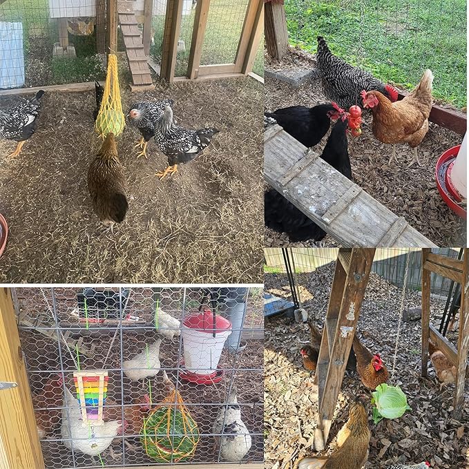 8pcs Chicken Toys Set Chicken Toys for Coop Accessries Chicken Swing Chicken Xylophone Mirror, Vegetable Hanging Feeder for hens Chick