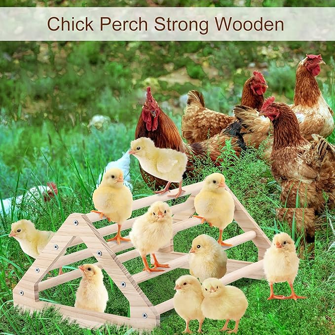 Wooden Chick Perch Stand, Pine Roosting Bar, Jungle Gym Perch Toys for Chicken Coop & Brooder, Bird Perch for Baby Chicks & Parrots (Large)