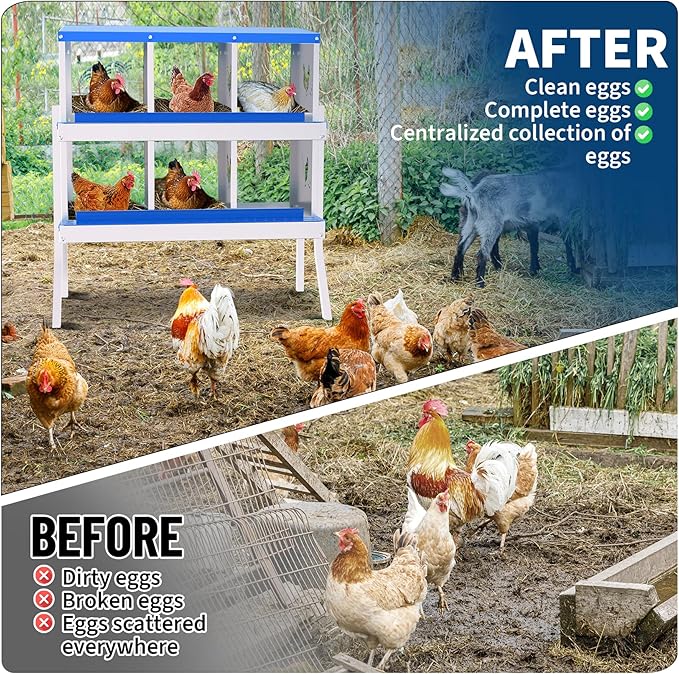 6-Hole Galvanized Chicken Nesting Box, Roll Away Egg Collection, Rustproof Hen Laying Boxes with Legs, Ventilated & Easy Install, Premium Poultry Nest for Chicken Coop/Duck House + Fake Training Eggs