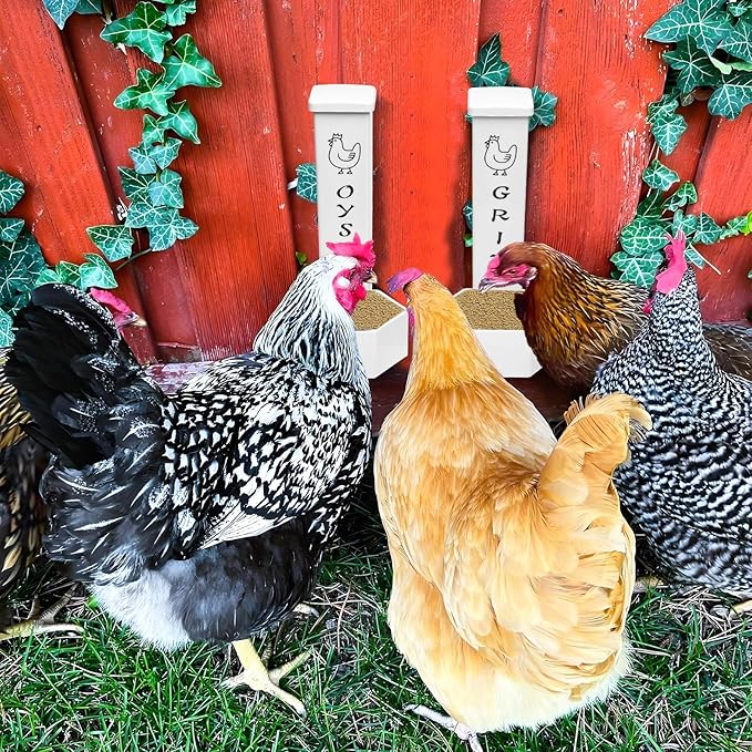 2Pack Chicken Grit Feeder, Oyster Shell Feeder with Lid, Hanging Gravity Chicken Poultry Feeders Trough, Coop Accessories Supplies
