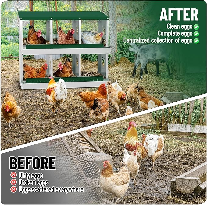 GarveeLife Nesting Boxes for Chickens, 6 Compartment Chicken Nesting Box, Metal Chicken Laying Boxes with Perch, Secure Lid, Versatile Wall Mount or Free Standing for Hens, Green
