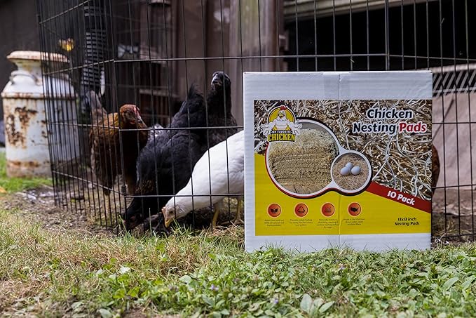 My Favorite Chicken Nesting Box Pads for Chickens - Accessories for Hens, Chicken Coops and Laying Eggs - Square Liners Fit in Your Coop - Natural Fiber Material Bedding Mats