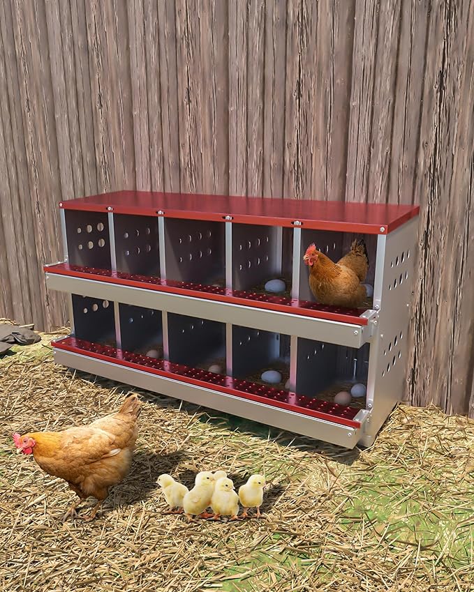 10-Hole Galvanized Metal Chicken Nesting Box with Egg Collection Tray/Fake Training Eggs, Rustproof Poultry Laying Box with Perch Rod,for Chicken Coops and Hens