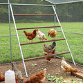 Square Chicken Roosting Perch-Water-Based Pating, Chickens Perch for Coop Perfect for Backyard Poultry, Easy to Assemble&Clean 57" L x 40" W