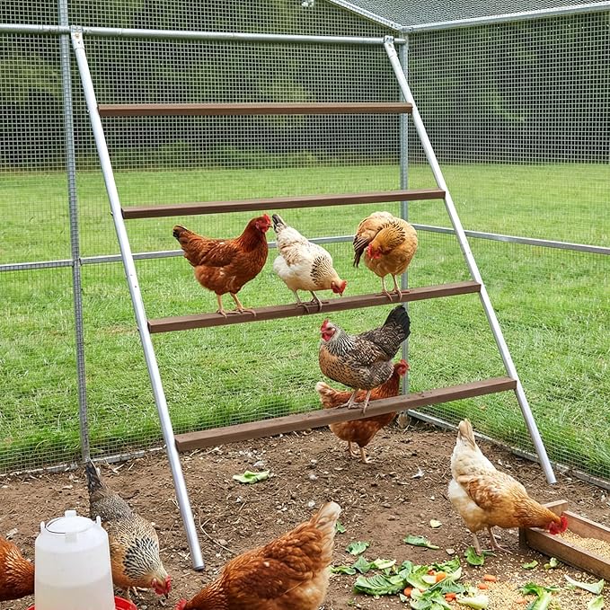 Square Chicken Roosting Perch-Water-Based Pating, Chickens Perch for Coop Perfect for Backyard Poultry, Easy to Assemble&Clean 57" L x 40" W