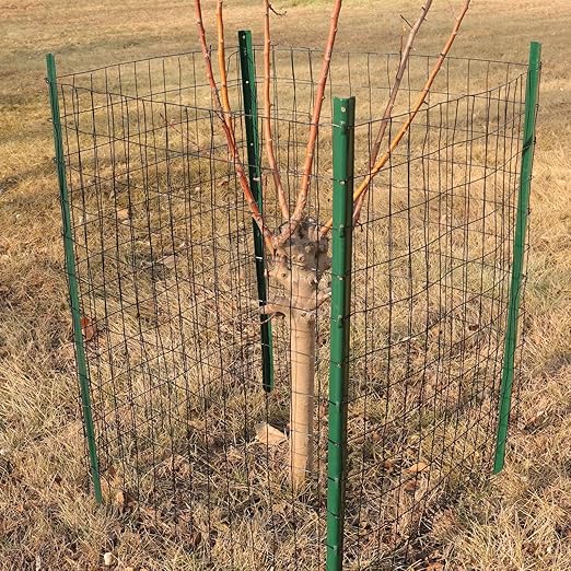 Black PVC Coated Welded Wire Fence 36 Inch x 100 Foot, 2 Inch x 3 Inch 16GA, Garden Border Fencing Roll Vinyl Coating Metal Wire Mesh for Yard Vegetable Plant Protection Poultry Netting