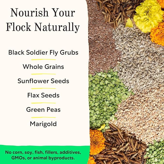 Grubbly Farms Little Pecks Starter Grower Feed – 19% Protein Chick Feed for Chicks, Ducklings, and Poults 0–20 Weeks – Made with Black Soldier Fly Grubs – No Soy, Corn, or Fish – 30 lb Bag