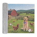 Chicken Wire 1/2 Inch 48in x 50ft Galvanized Welded Wire Mesh Roll, Chicken Wire Fence for Poultry Rabbit Snake Gopher Cage, Garden Plant Fencing & Animal Netting - Silver