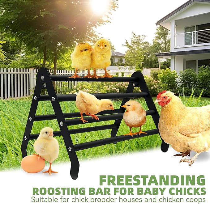 Chick Perch for Brooder - 7-Bar Metal Baby Chicken Supplies Stand - 2026 New Edition Training Roosting Bars for Chicks - Smooth Surface - High Weight Capacity, Easy to Move, No-Tool Setup