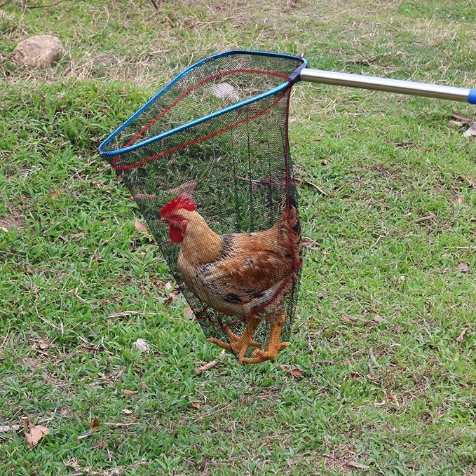 Chicken Net Catchers 2 Piece Set Chicken Supplies Essential Small Animal Catchers for Chicken Coops Stainless Steel Folding Chicken Catchers for Chickens Ducks Fish and Birds