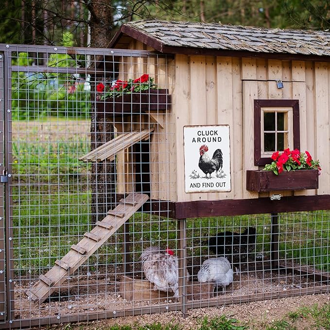 Sanwarm Funny Chicken Gifts Metal Sign Chickens Cluck Around and Find Out Tin Signs For Home Farm Chicken Coop Farmhouse Kitchen Garden Wall Decor Grey Poster Vintage Hanging Painting 12 X 8 Inch