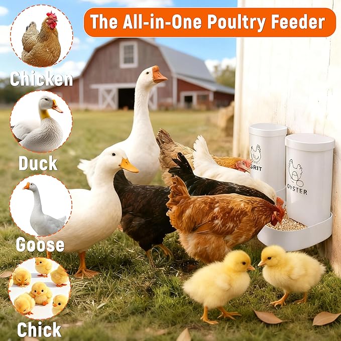 Chicken Grit and Oyster Shell Feeder, 2 Pack No Waste Hanging Chicken Feeder Combo, Waterproof ABS Automatic Gravity Poultry Feeder with Lid Rounded Edges, Coop Accessories for Healthier Hens and Eggs
