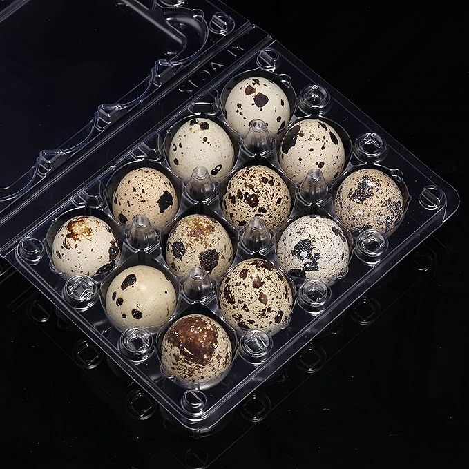 120 Pcs Quail Egg Cartons, Square Dozen Egg Basket, 3x4 Style Holds Up to Twelve 12 Count Small Eggs Box, Bulk Carton Pigeon Eggs Tray Container for Refrigerator
