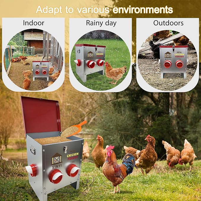XINYI 7.1 Gallon Auto Chicken Feeder, 6 Ports Galvanized Chicken Feeder,Large Chicken Food Container No Waste & Rodent Proof Chicken Food Dispenser System, Weatherproof Duck Feeder