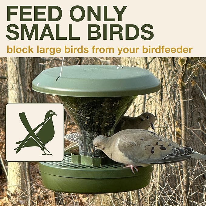 SWISSINNO Big Bird Blocker Ring, Transparent, Prevent Pigeons, Crows and Other unwanted Large Birds for Davos and Chur Feeder