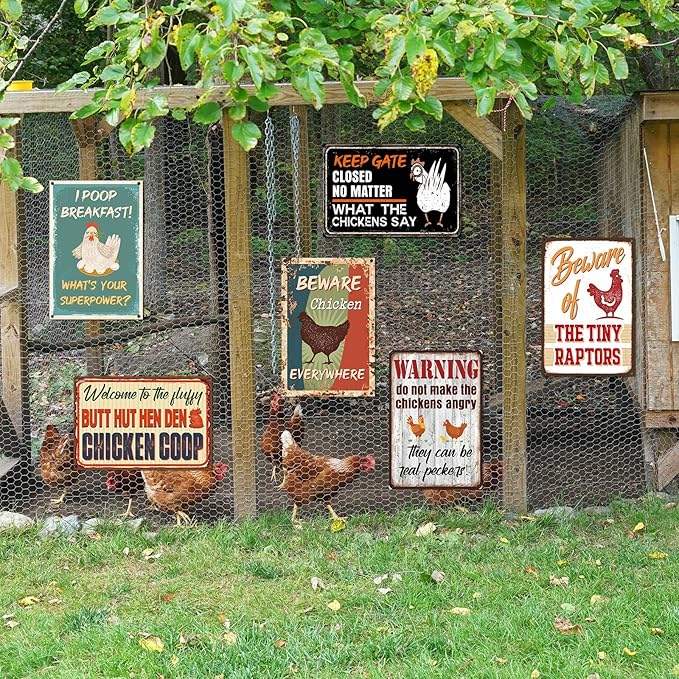 Tandefio 12 Pack Chicken Coop Signs 8 x 12 Inch Funny Metal Coop Signs Outdoor Decor Vintage Personalized Farm Yard Accessories for Home Kitchen Decor Chicken Lovers Gifts