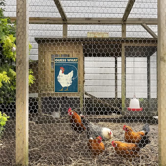 Funny Chicken Decor - "Guess What" Metal Sign for Chicken Coop and Kitchen Decor, 12" * 8" (260)