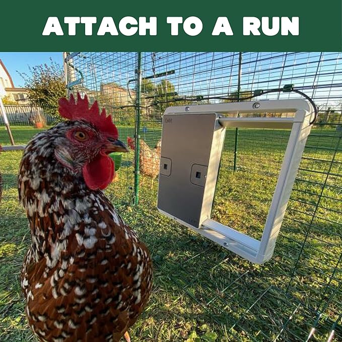 Omlet Automatic Chicken Coop Door Opener | Operated by Light Sensor or Timer | Easy to Install, No Maintenance Required | Improves Coop Security and Insulation | Built-in Safety Sensors | Grey