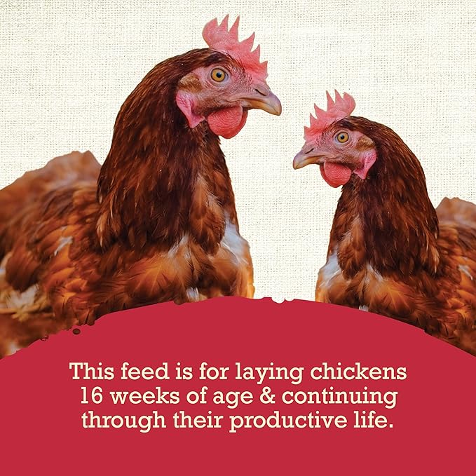Natural Layer Chicken Feed - 40 lb Bag, Complete Poultry Feed for Laying Hens, Balanced Daily Nutrition for Backyard Chickens, Supports Consistent Egg Production and Flock Health