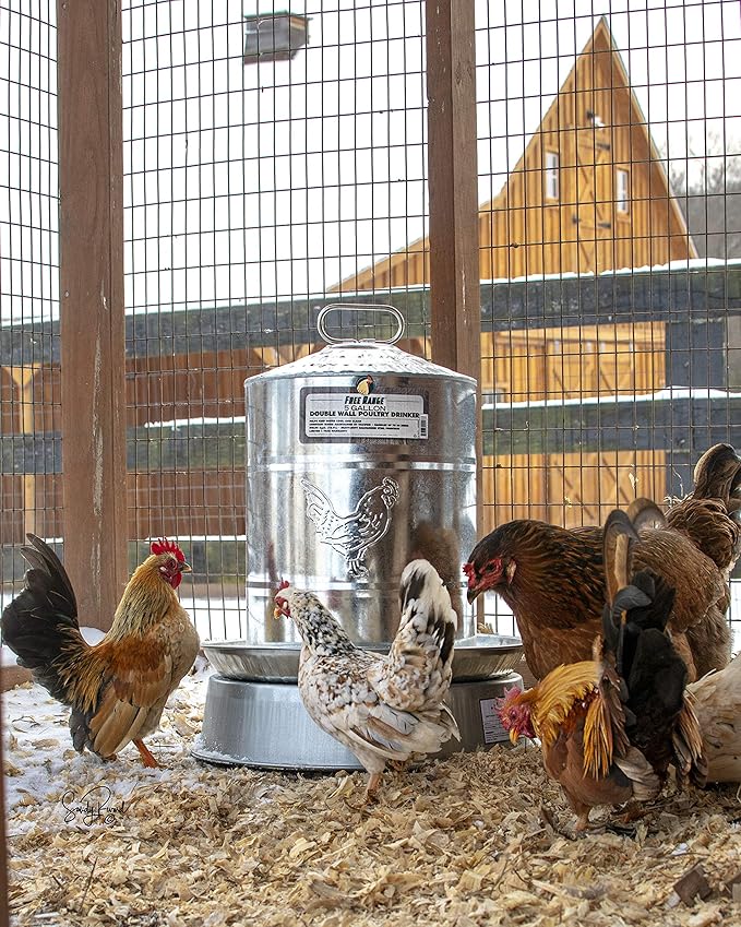 Harris Farms Manna Pro Chicken Supplies | Chicken Waterer Heated Base | Harris Farms Poultry Drinker | Chicken Coop Accessories