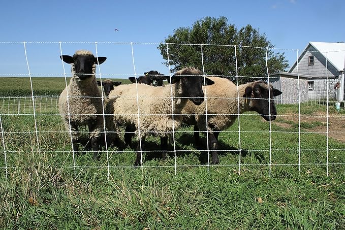 Starkline Premium Electric Sheep & Goat Netting Kit- AC Energizer (9/35/8) for Backyards, Homesteaders, and Livestock Owners