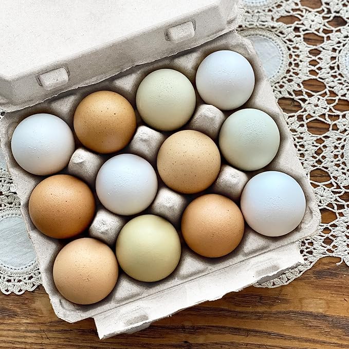 Vintage Egg Cartons for 12 Large Eggs – Classic 3x4 Layout – Durable Recycled Cardboard – Farmhouse Style – Eco-Friendly Packaging - White 25 Pack