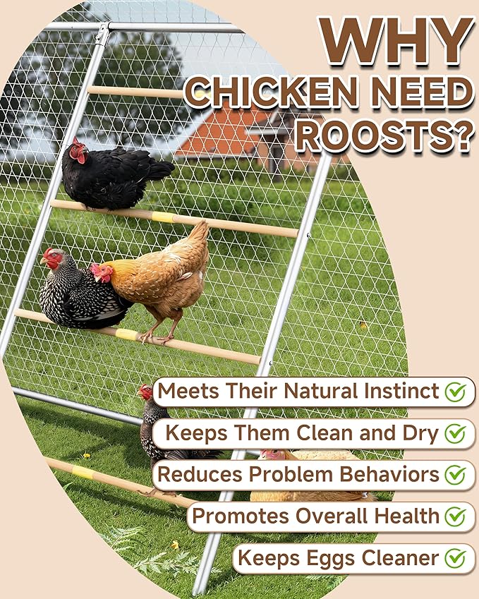 Stainless Steel Chicken Roosting Bars for Coop, 55" L x 31" W Roosting Bars for Chickens in Coop, Chicken Ladder Toys, Farm Chicken Coop Accessories for Backyard Poultry, Chicks
