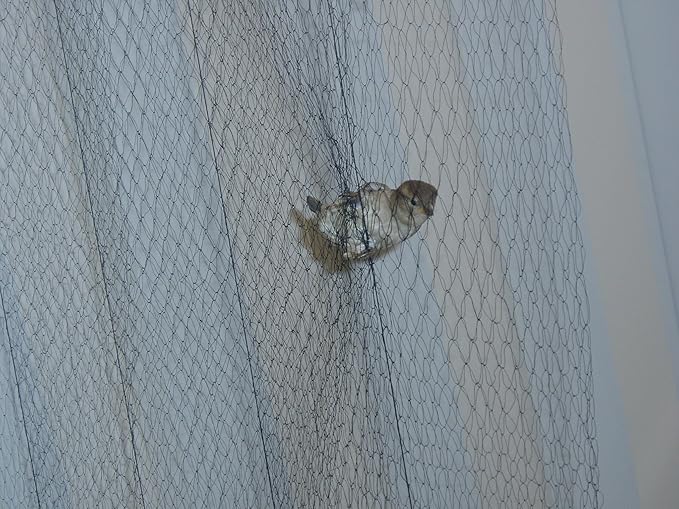 Capture Net 8'x30' Large Mesh