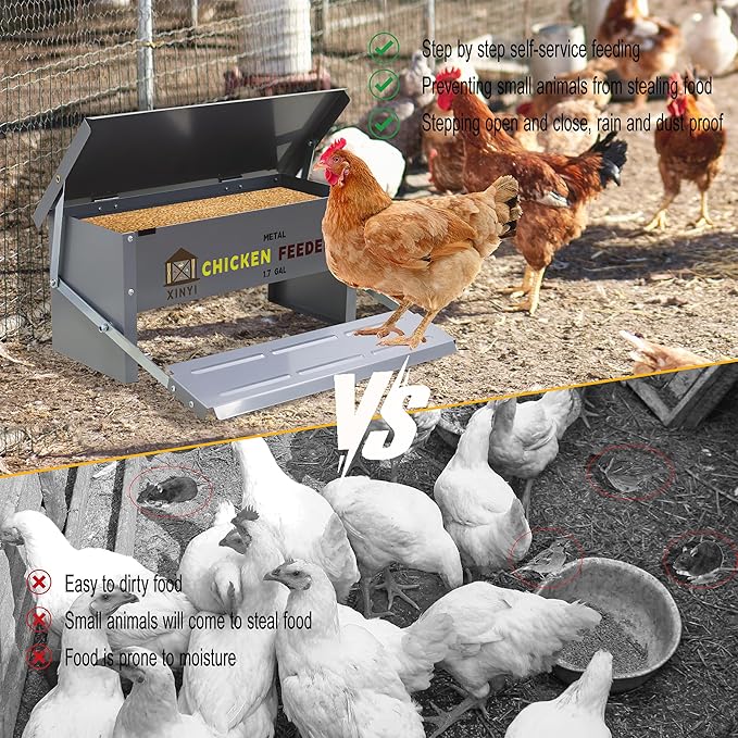 XINYI Chicken Treadle Feeder,12 Lbs Metal Treadle Feeder, No Waste & Rodent Proof Chicken Feeder with Weatherproof Lid, Suitable for Bantams, Poultry, Pheasants - 1.7Gallon Capacity