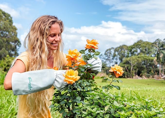Rose Pruning Gloves for Men and Women - Thorn Proof Goatskin Leather Gardening Gloves with Gauntlet (Medium，Natural)