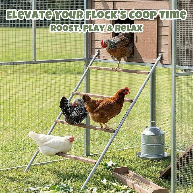 Square Chicken Roosting Perch-Water-Based Pating, Chickens Perch for Coop Perfect for Backyard Poultry, Easy to Assemble&Clean 57" L x 40" W