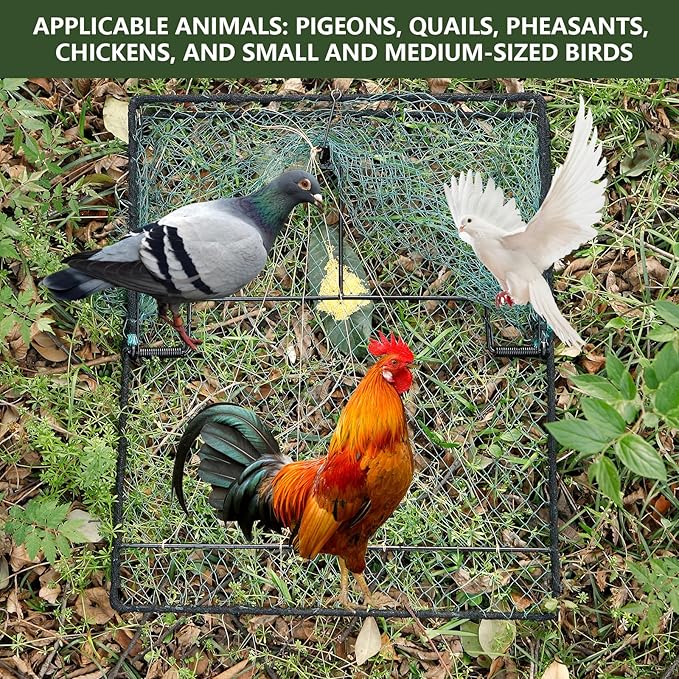 Humane Pigeon Trap,Bird Trap for Quail,Turkey,Net Traps (19.7x23.6 inch)