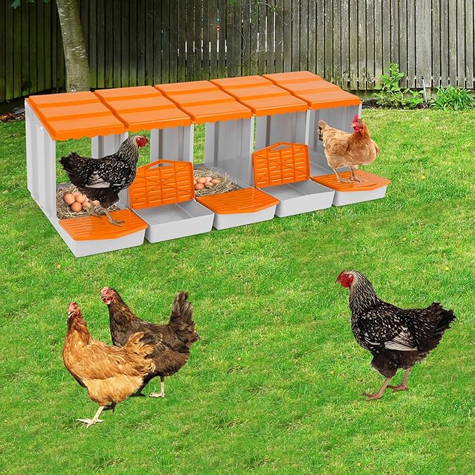 Chicken Nesting Box, 5 Compartments PP Nesting Box, Wall Mountable Nesting Boxes with Inclined Top, Drain Holes & Resting Platform for Chicken and Poultry to Collect Eggs