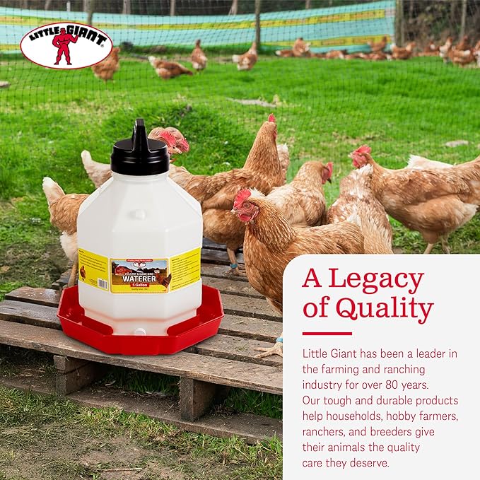 Little Giant Plastic Poultry Waterer