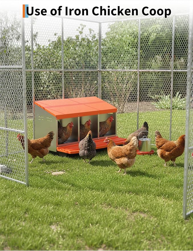Metal Chicken Nesting Box with Easy-Collect Tray & Lid – 3/4/2x2 Compartment Heavy Duty Roll Away Nesting Boxes for Chickens, Wall Mount or Freestanding, Galvanized Steel Hen Laying Box for Coop