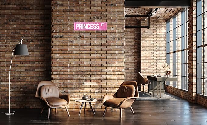 Retro Girl Pink Tin Metal Sign Princess Statement Wall Decor for Home Vintage Bar or Dorm Unique Gift Idea for Friends 4x16 in