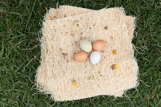 Chicken Nesting Pads with Aromatic Nest Herbs | Natural Excelsior Aspen Fiber Poultry Bedding | 13 x 13 Inches | Pack of 10