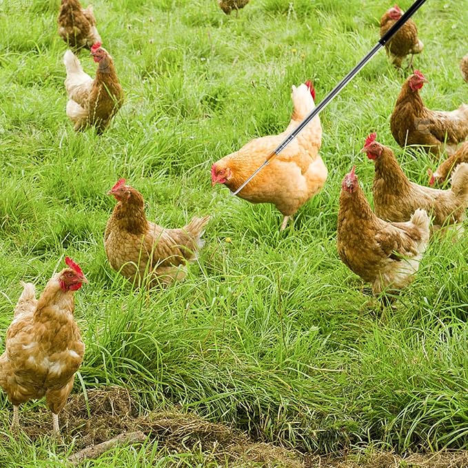 Chicken Catcher Extension Rod Hook Stainless Steel Poultry Catcher Extendable to 52 Inch, Long Handle Farm Tool for Chicken Duck Turkey Safe Handling